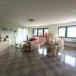 Rent 2 bedroom apartment of 110 m² in pago veiano