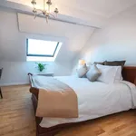 Rent 1 bedroom apartment in dublin