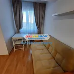 Rent 1 bedroom house of 35 m² in Popești-Leordeni