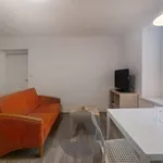 Rent 2 bedroom apartment of 48 m² in Brno