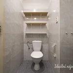 Rent 1 bedroom apartment of 25 m² in Prague