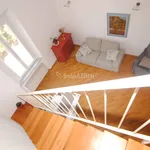 Rent 2 bedroom apartment of 60 m² in Livorno