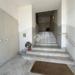 Affitto 1 camera appartamento di 40 m² in Agrigento