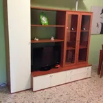 Rent 2 bedroom apartment of 70 m² in Roma