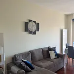 Rent 3 bedroom apartment of 80 m² in Frosinone