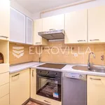 Rent 1 bedroom apartment of 47 m² in Zagreb