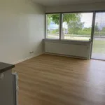 Rent 2 bedroom apartment of 46 m² in Aalborg