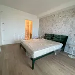 Rent 3 bedroom apartment of 80 m² in Bari