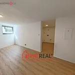 Rent 3 bedroom apartment of 441 m² in Trhový Štěpánov