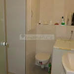 Rent 1 bedroom apartment in Plzeň