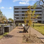 Rent 1 bedroom apartment in Greenville