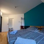 Rent 2 bedroom apartment of 50 m² in Karlsruhe