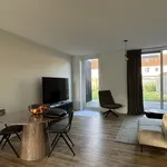 Rent 5 bedroom house of 150 m² in Meppel