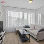 Rent 2 bedroom apartment of 50 m² in Trhový Štěpánov