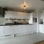 Rent 1 bedroom apartment in Antwerpen