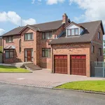 Rent 4 bedroom house in Belfast