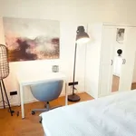 Rent 3 bedroom apartment of 70 m² in frankfurt