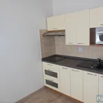 Rent 1 bedroom apartment of 32 m² in Praha