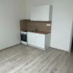 Rent 1 bedroom apartment in Příbram