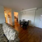 Rent 1 bedroom apartment in Kingston