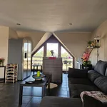 Rent 1 bedroom apartment in Mol