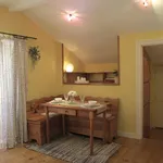 Rent 1 bedroom apartment of 35 m² in Lisbon