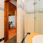 Rent 1 bedroom apartment in Lisbon