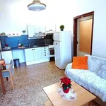 Rent 2 bedroom apartment of 42 m² in České Budějovice