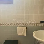 Rent 3 bedroom apartment of 80 m² in Legnaro