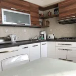 Pronajměte si 1 ložnic/e byt o rozloze 47 m² v Prague