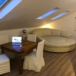 Rent 1 bedroom apartment of 70 m² in Dresden