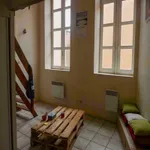 Rent 1 bedroom apartment of 20 m² in Lyon