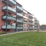 Rent 3 bedroom apartment of 57 m² in Herne