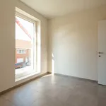 Huur 2 slaapkamer appartement in Hamme