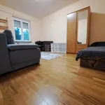 Rent 2 bedroom apartment of 50 m² in Miskolc