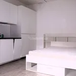 Rent 1 bedroom apartment of 40 m² in Parabiago