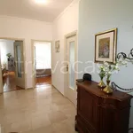 Rent 3 bedroom apartment of 87 m² in Torino