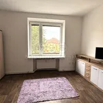 Rent 1 bedroom apartment in Přerov