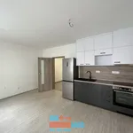 Rent 1 bedroom apartment of 30 m² in Brno