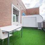 Rent a room in madrid