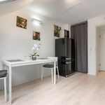 Rent 2 bedroom apartment of 45 m² in Frankfurt am Main