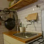 Rent 1 bedroom apartment of 42 m² in Pisa