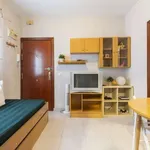 Rent 2 bedroom apartment of 40 m² in madrid