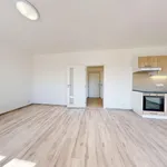 Pronajměte si 1 ložnic/e byt o rozloze 44 m² v Pilsen