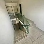 Rent 2 bedroom apartment of 56 m² in Chemnitz