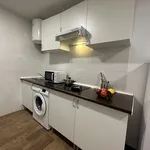 Rent 1 bedroom apartment in Madrid