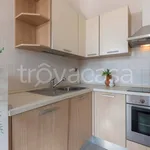 Rent 2 bedroom apartment of 80 m² in Trieste