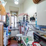 Affitto 5 camera appartamento di 170 m² in Sant'Agata li Battiati