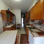 Rent 4 bedroom apartment of 100 m² in Lodi