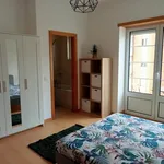 Alugar 10 quarto casa em Coimbra